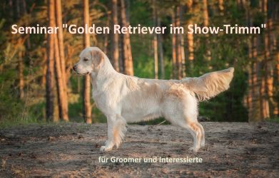 Seminar "Golden Retriever im Show Trimm" 10. Sept 2023